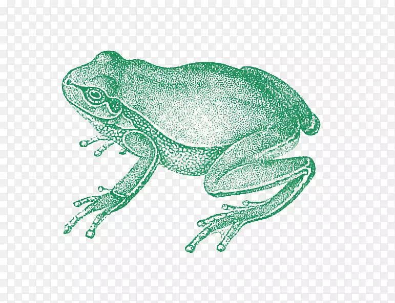 ������ܶ���ѧ-������