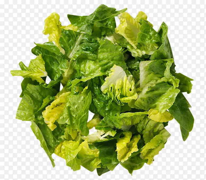 ���ˣ�����ɳ������ʳ��-�߲�-������