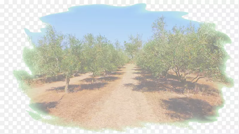 �������plc������-������