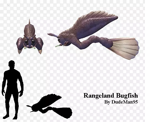 �����β��-������