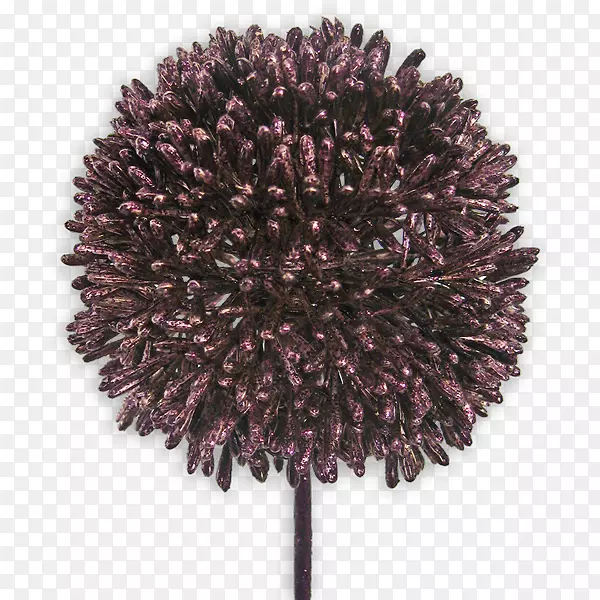 ��-��-������