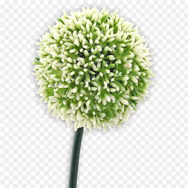 ����-������