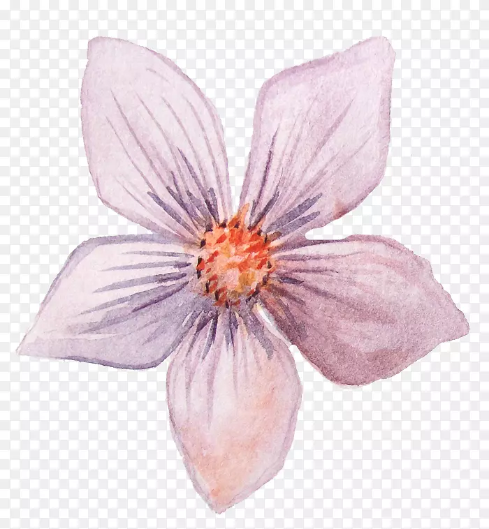 ����ˮ�ʻ�������ˮ�ʻ���-������