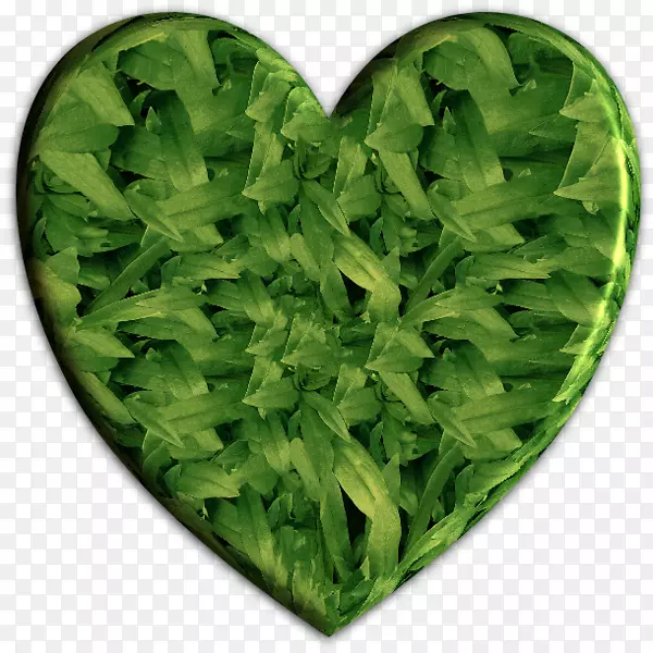 ���ˣ����࣬�ݱ�ֲ��߲�-�����߲�-������