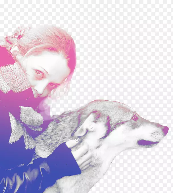 Ȯ�ƣ����ӣ��ۺ�ɫ��-��-������