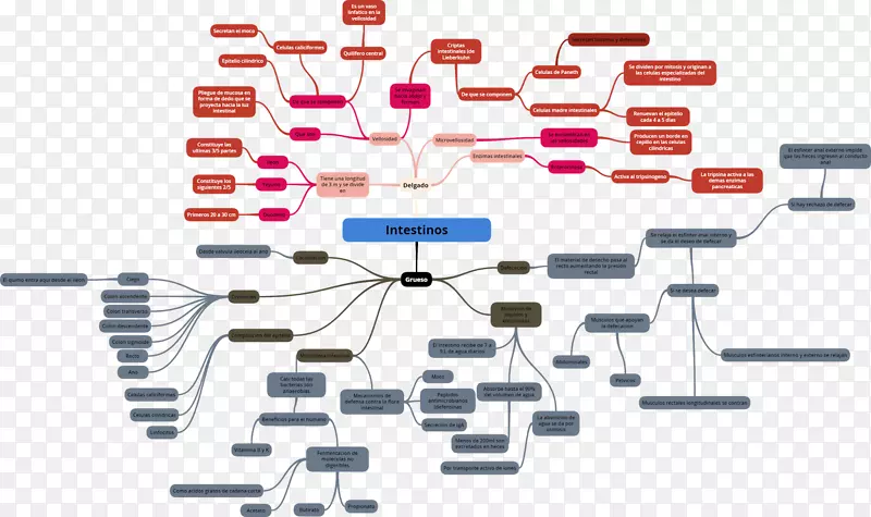 ֱ�߽���-������