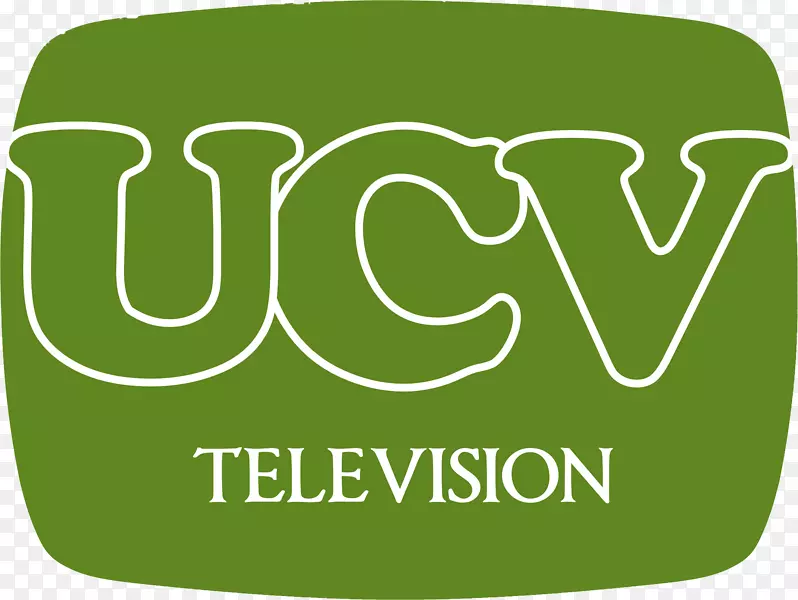 �̱��������-������