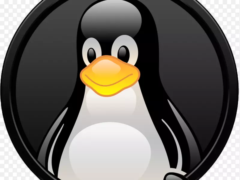 linux��װweb���������������������������-linux-������