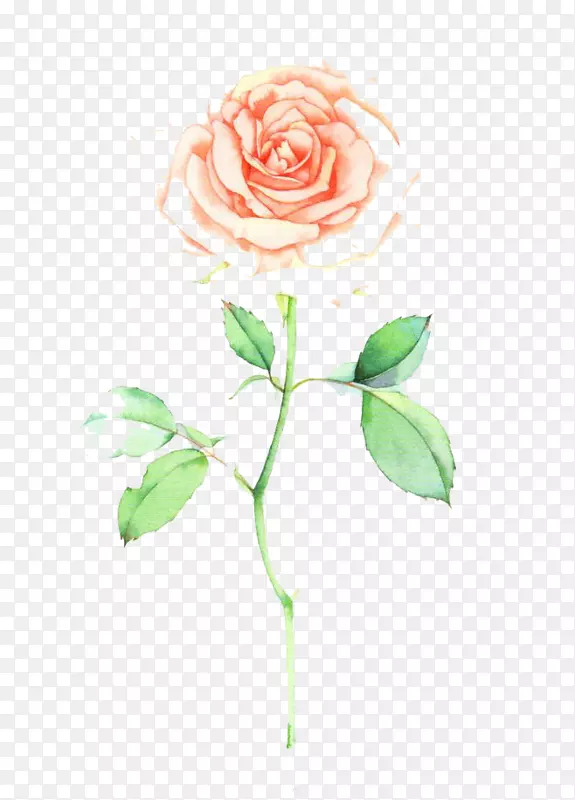 ˮ�ʻ���ͼˮ�ʻ��廭ˮ�ʻ�-������