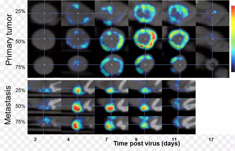 �����ӷ��������ϲ�ɨ���ٴ�ǰ����-÷������-������