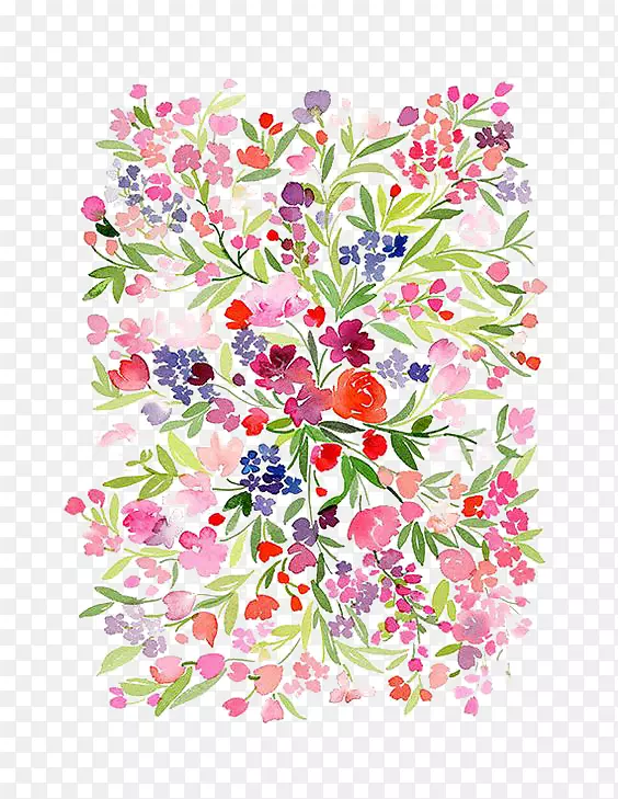 ˮ�ʻ���ˮ�ʻ��������ˮ�ʻ�����-������