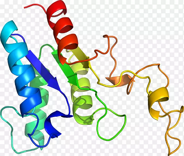 �ߵ������������-������