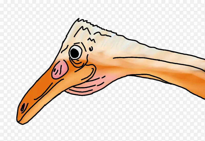 ���������ë������-��-������