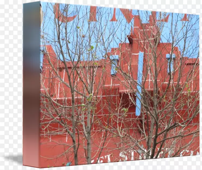 ����-������