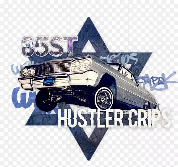 �������ո�������־�������-����-������