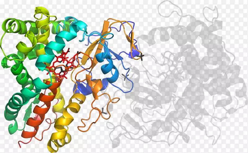 ���������л����߼�������-������