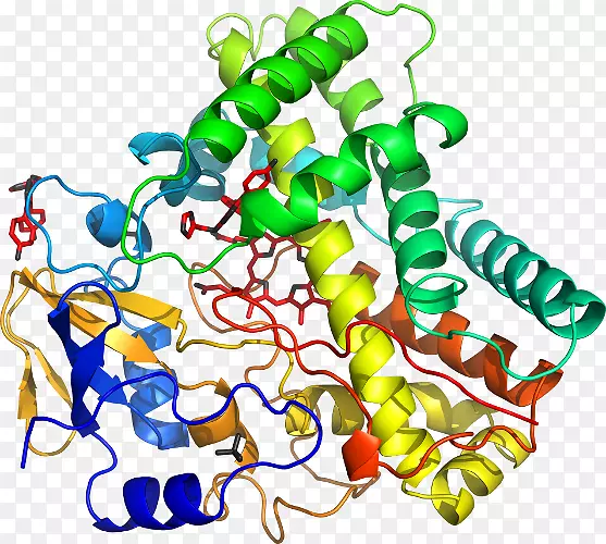 ���߼�����-��-������