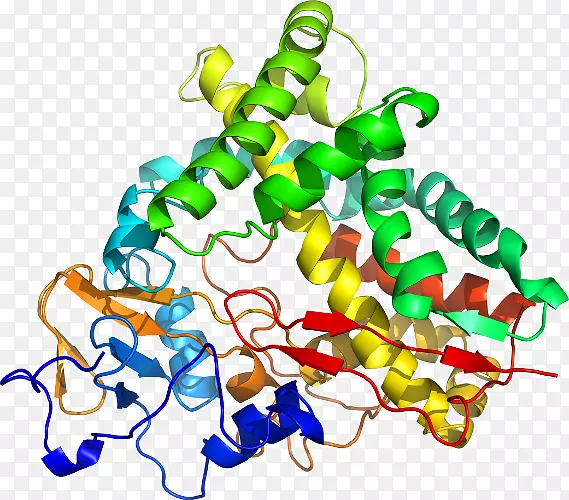 �ߵ������������-������