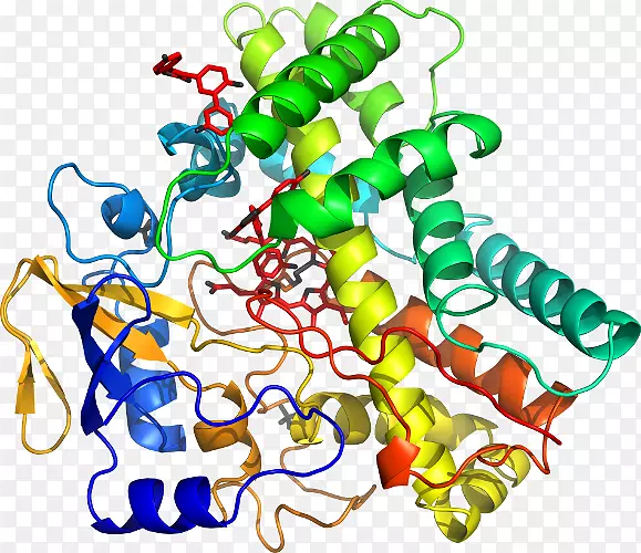 ���������л����߼�������-������