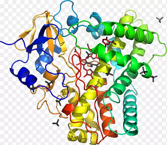 ������Ϊ���߼�������-������