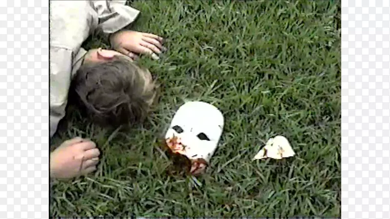 ���Ķ������-��-������