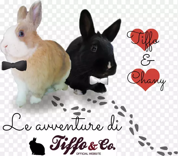 ���ÿ�������Ȯ���Ӽ�Ȯ-������