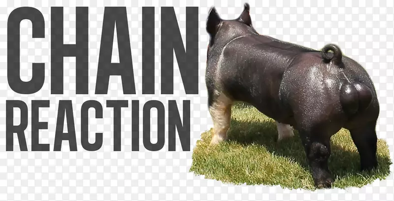 �Ĵ����Ǵ�ʹ�ݣ�����������ҽԺ��ף�������ҵ������-�Ĵ�����-������