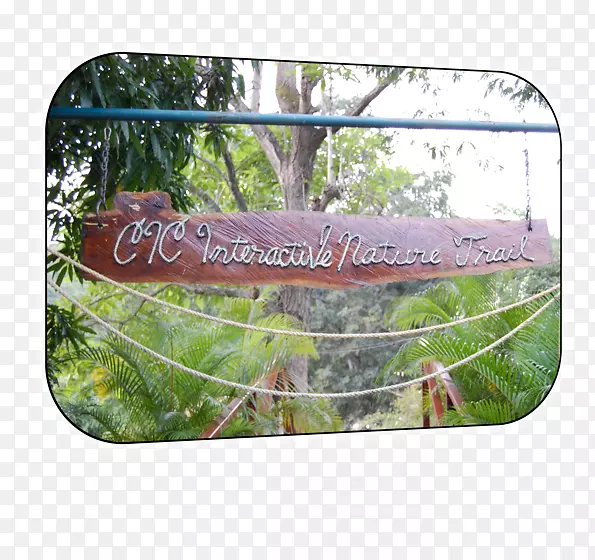 ��-��-������