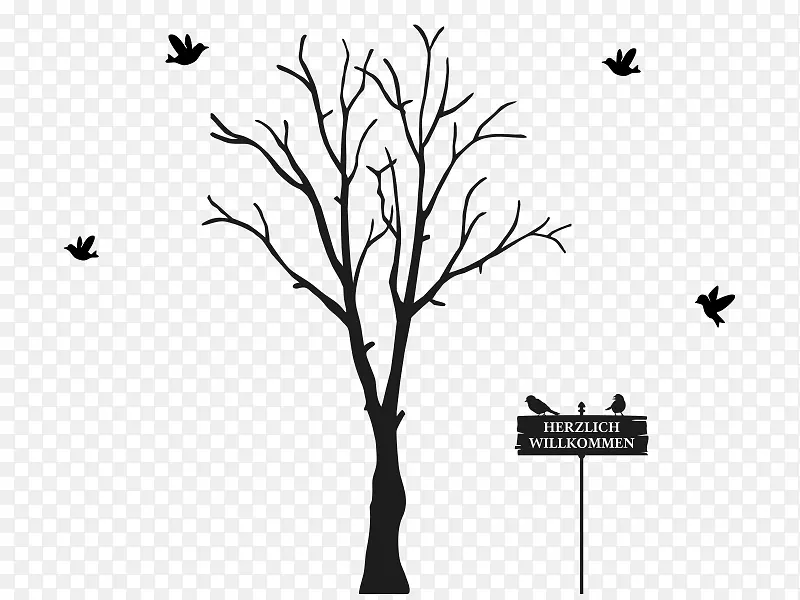 ����ֲ�ﾥ���-������