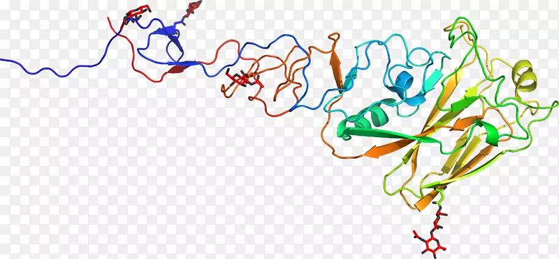 �ߵ������������-������