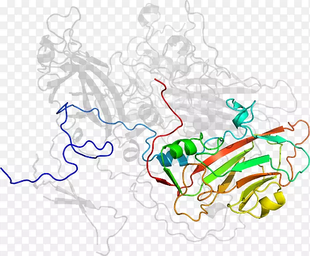 �ߵ������������-������