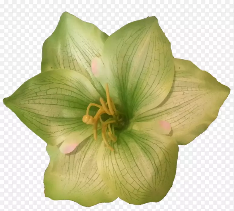 �������̻�-������