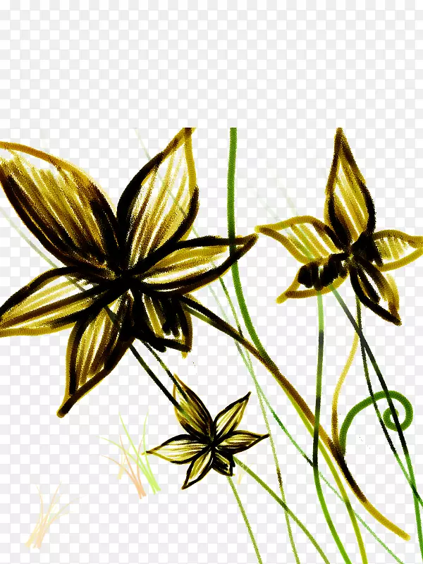 ����ʻ��̻�-������