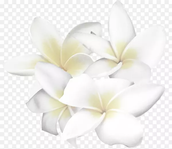 �׻�������-�׻�-������