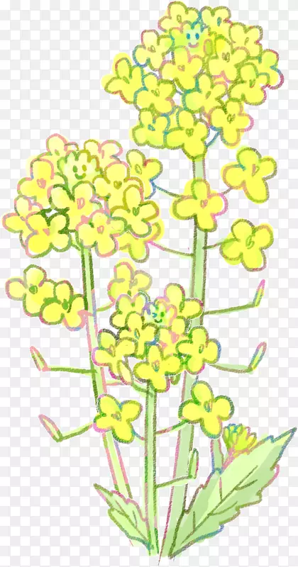 ��������л�����ֲ�ﾥ���-������