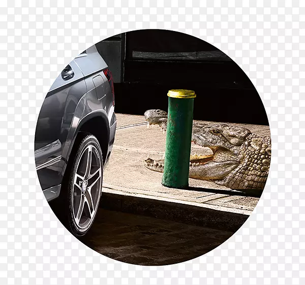 ��̥����������������-������