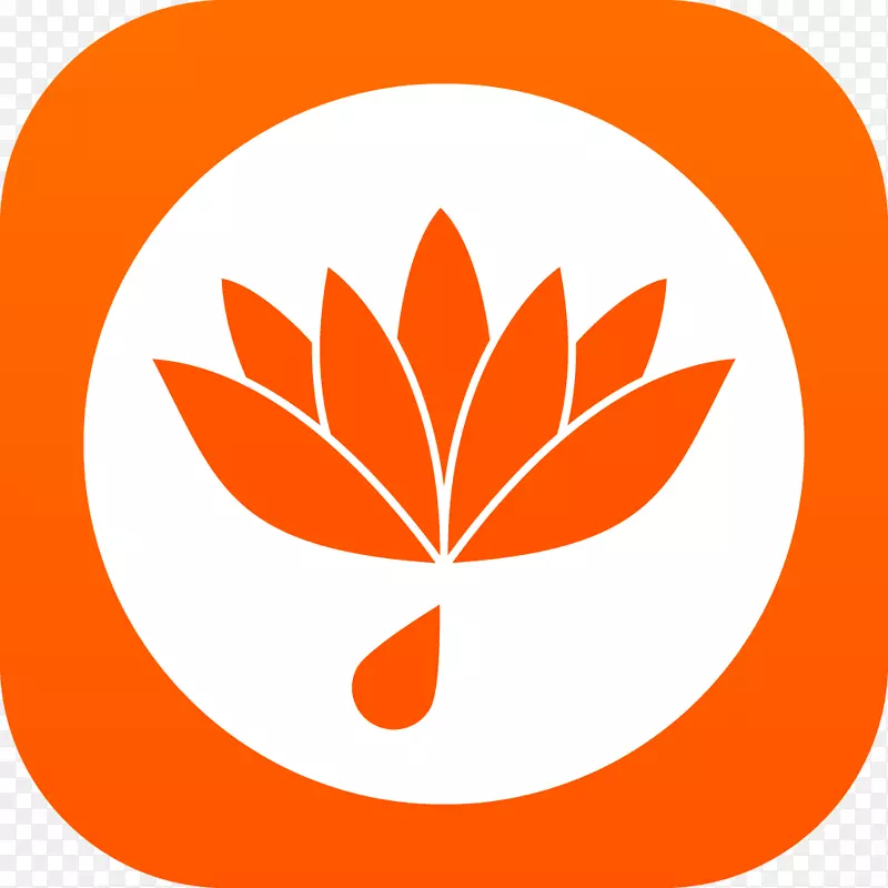 Nelumbo nucifera�����ɻ����ü�����-�ޱ��޼ʵĿռ�-������