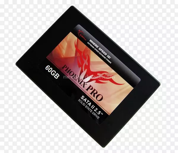 ��̬������-������