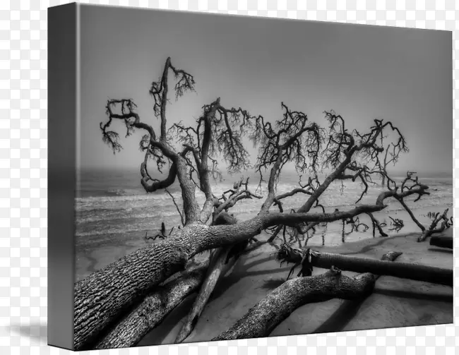 �羰��Ӱ�ڰ�ɽˮ������-������