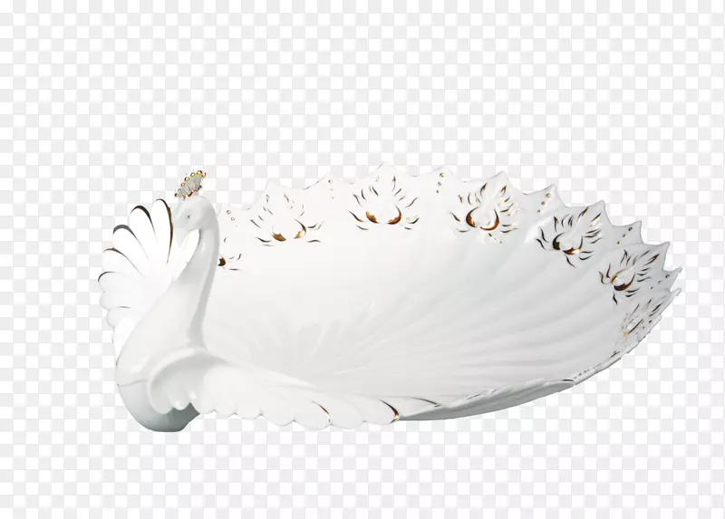 �;���ë-������