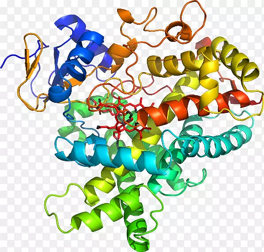 ���������鱦�л����߼�������-������