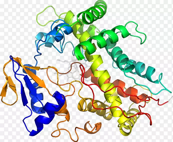 ���������л����߼�������-������