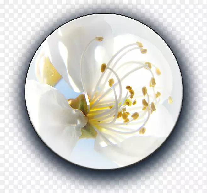 �ɻ���-������