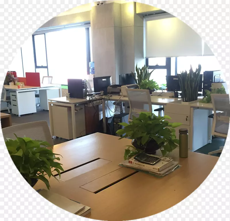 ������Ʒ���칫�ҷ��ز����-������