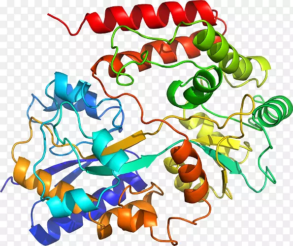 �����߶����������-������