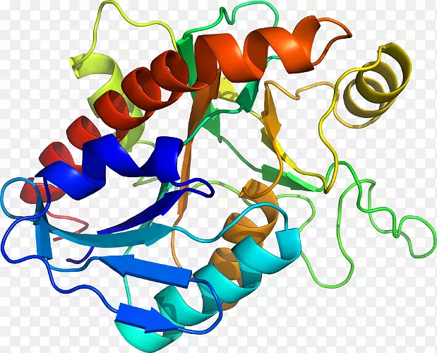 ���������л����߼�������-������