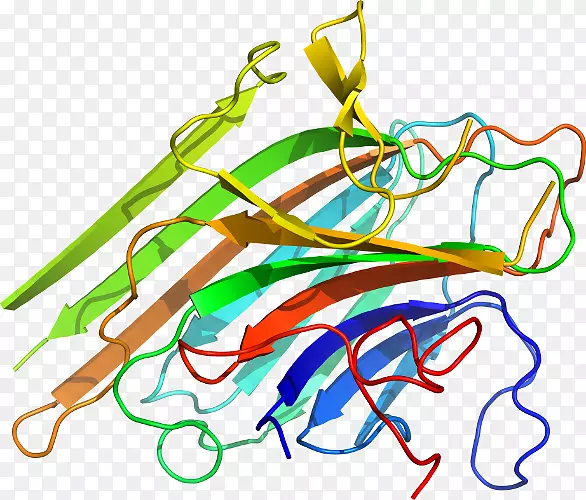 ֱ�ߵ�ֲ�ﾥ��������-������