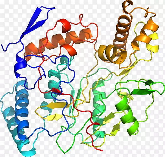 ������Ϊ�л����ߵ��������-������