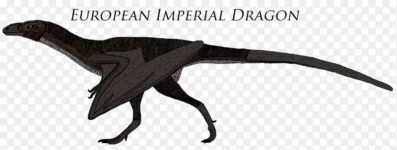 ��������-����-������