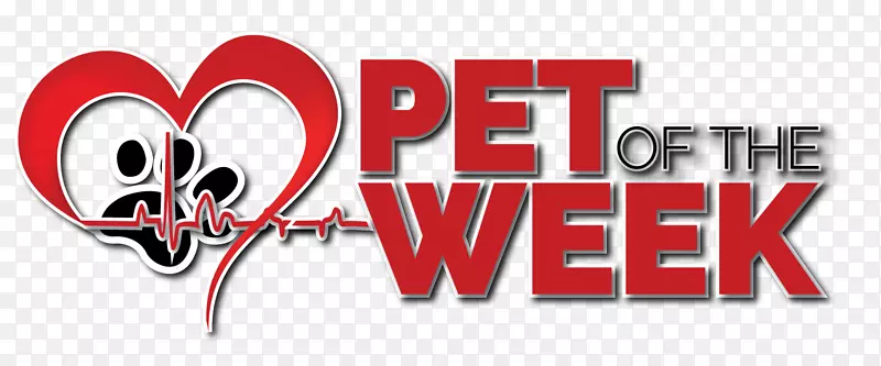 �̱��������-������